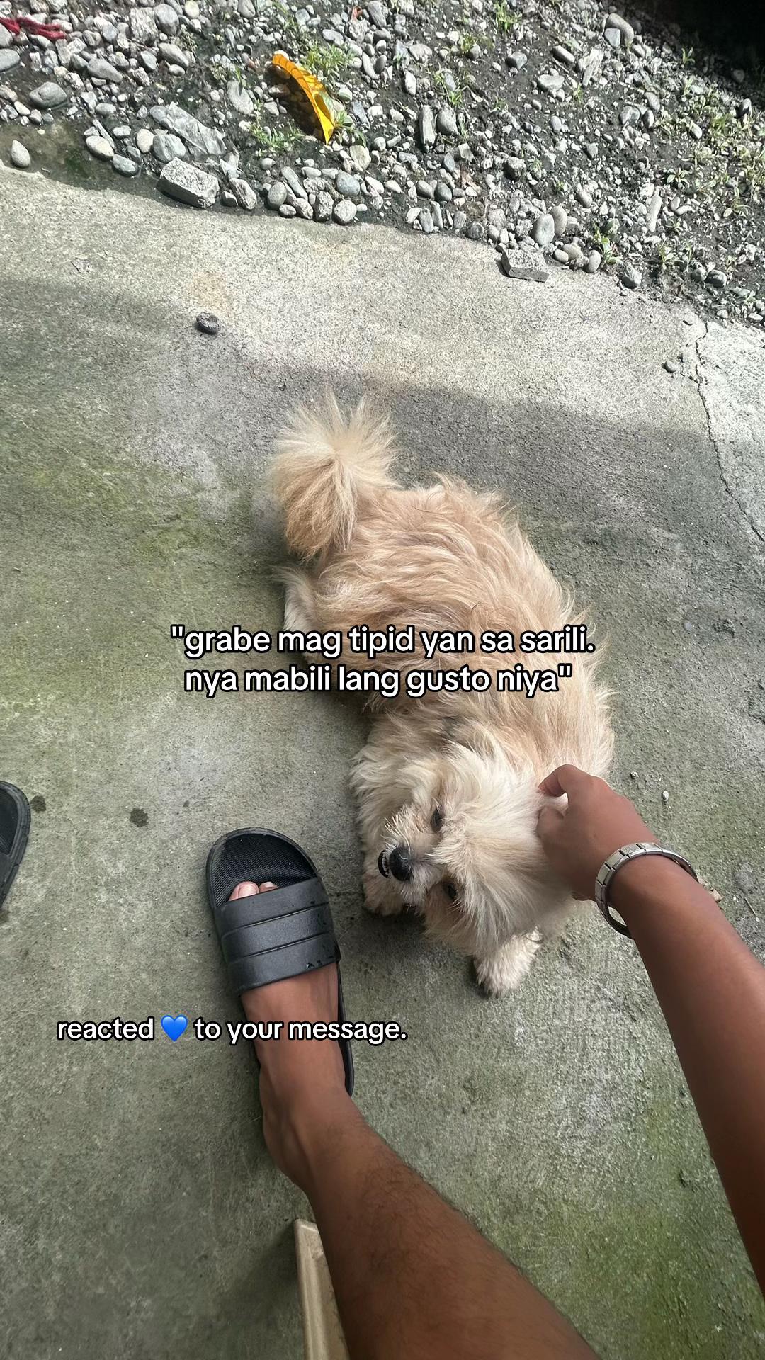 @_unojyy