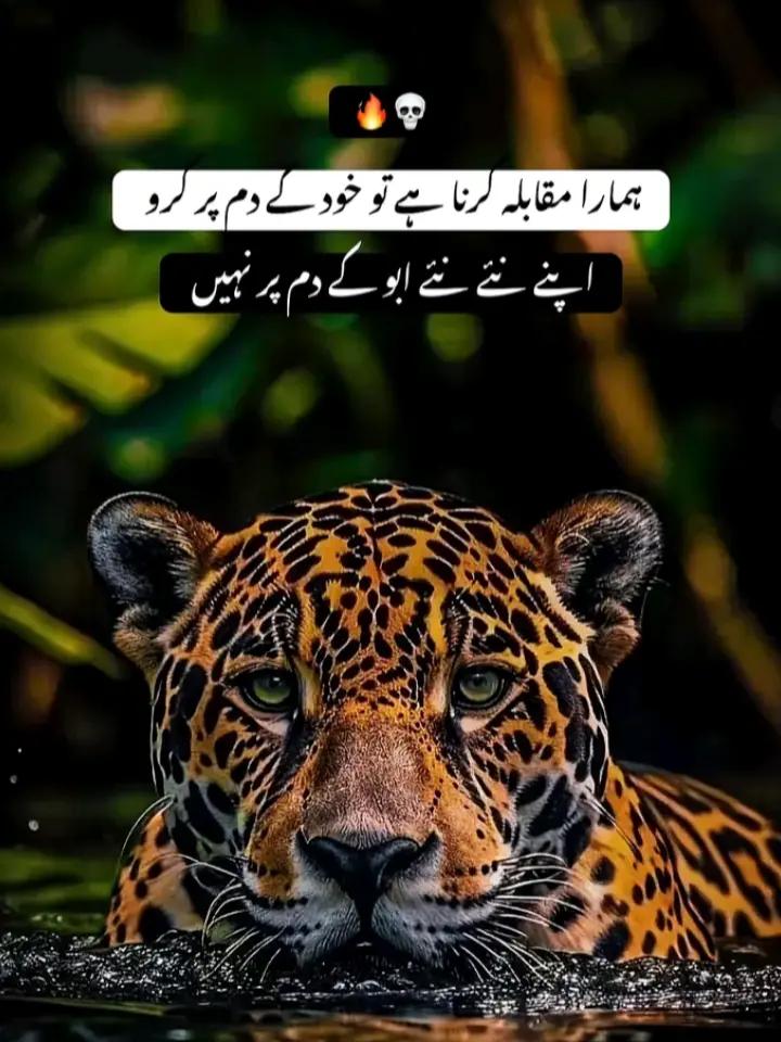@👈ہائے جوانی رول گئی 🥺