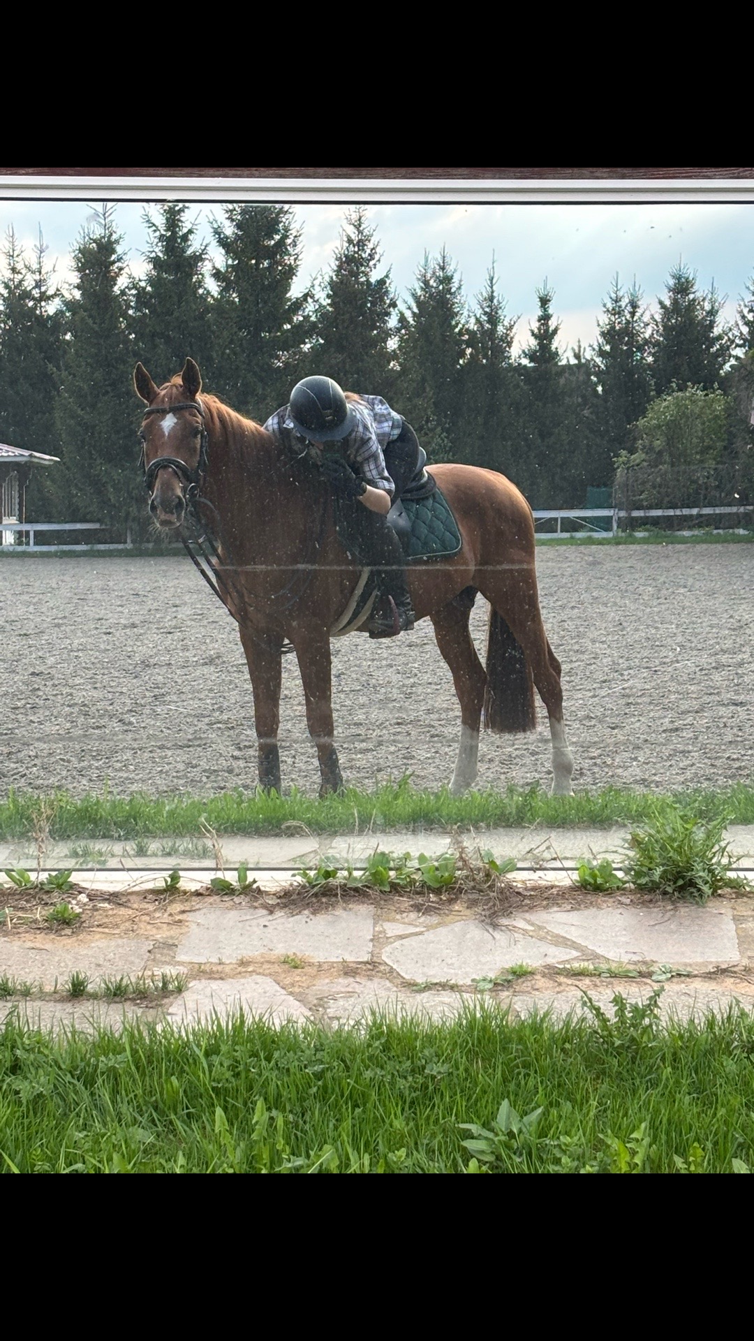@Tгк:Margarita equestrian