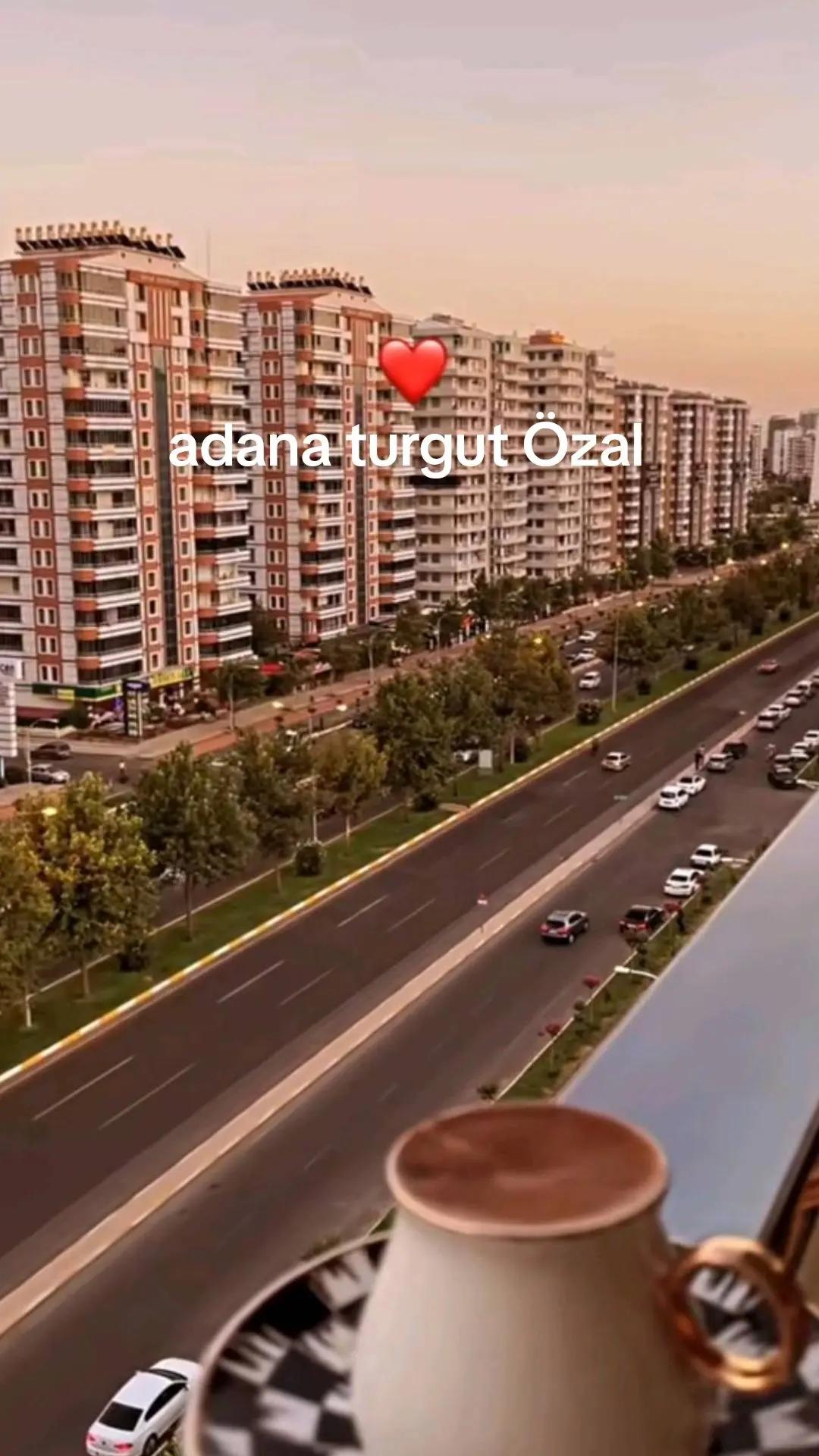 @65sevgim_gl