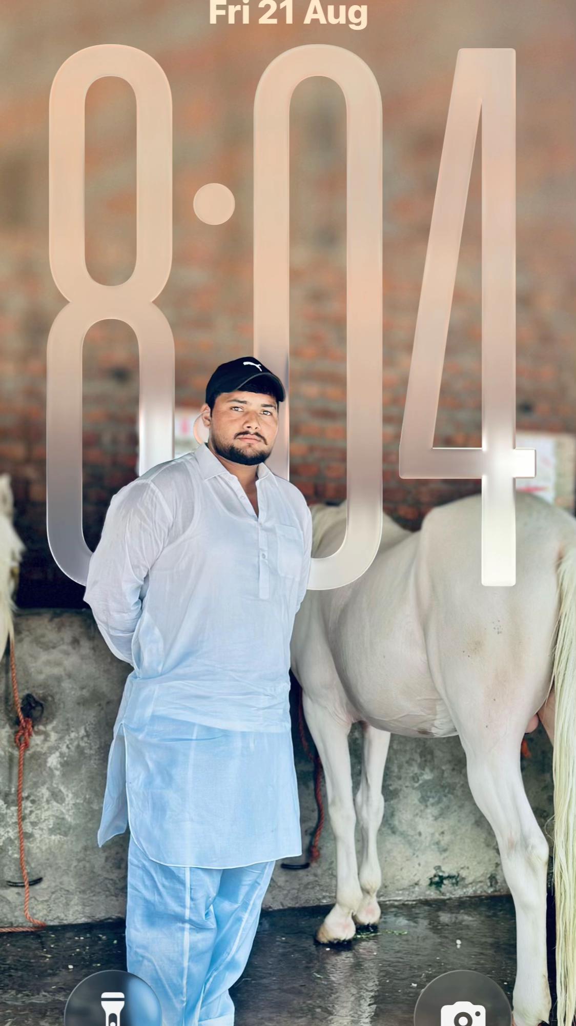 @Mirza1012