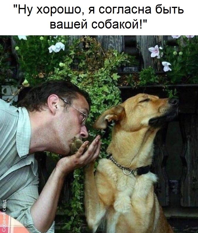 @Денис Манис !