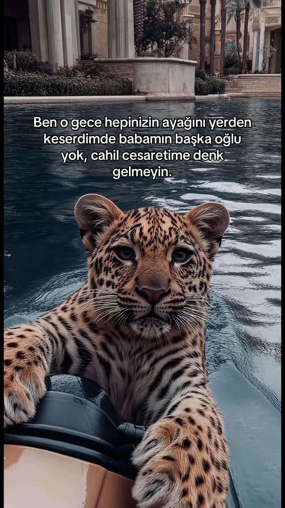 @Hüseyin KENGER