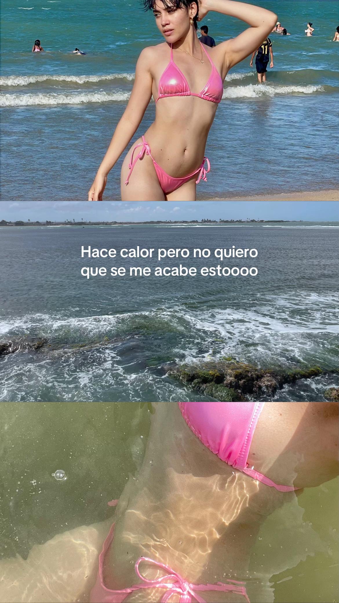 @litani