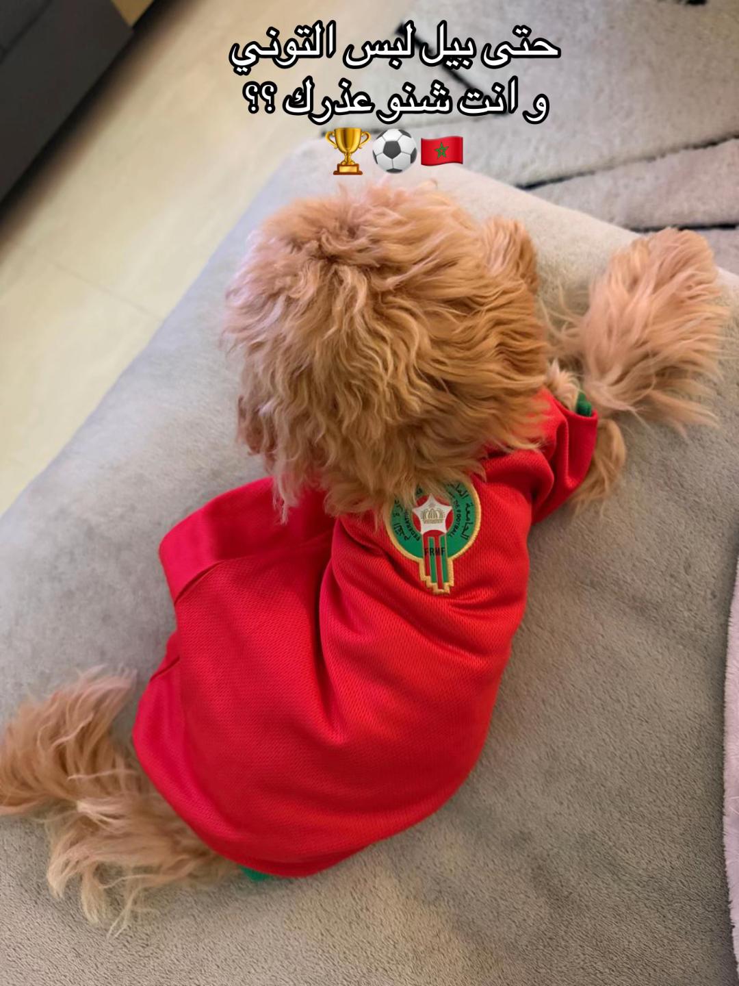 @فن القفطان 🇲🇦🇦🇪