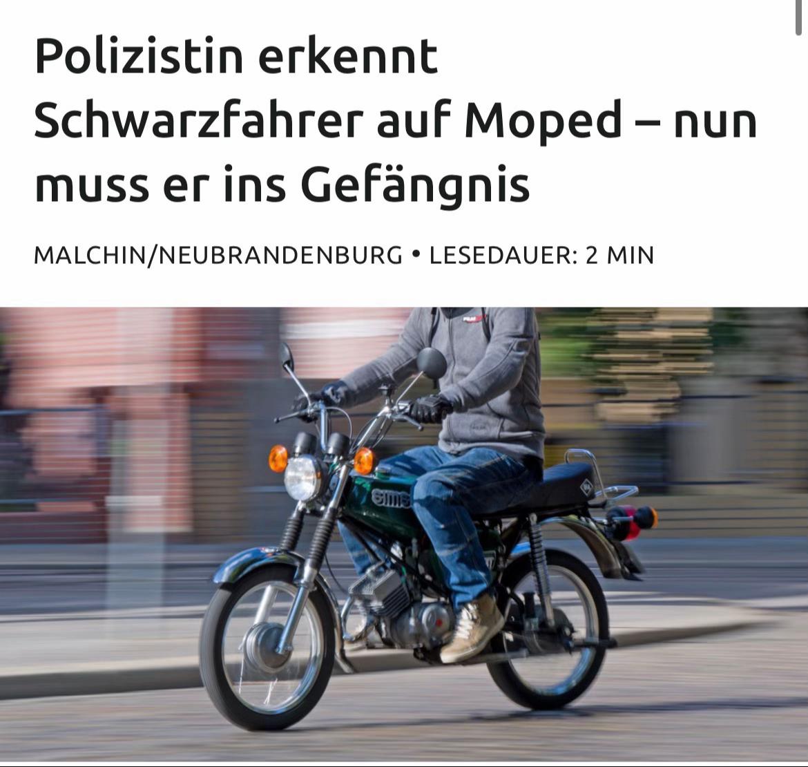 @Alice Weidel Fan💙