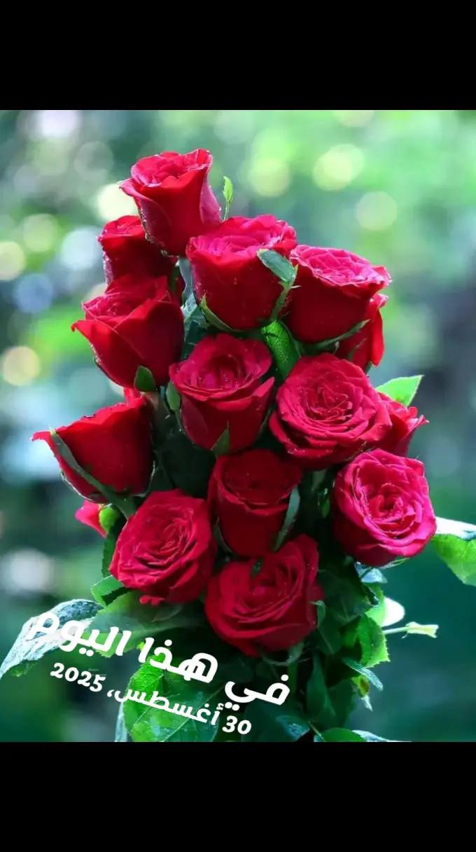 @ኢክራም እሙ ከድር