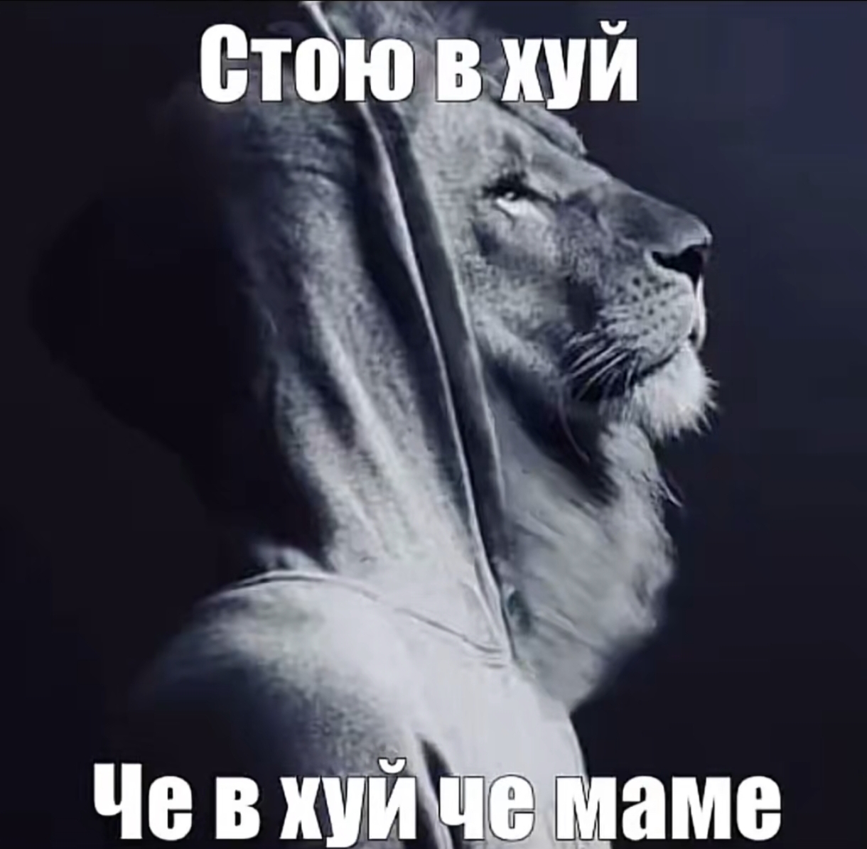@fffffffffsuahhhhhhh