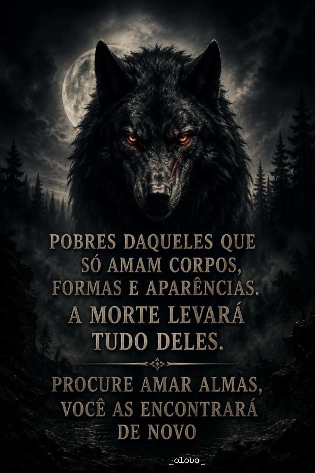 @🐺_&Oslash;Ⱡ&Oslash;฿&Oslash;_🐺