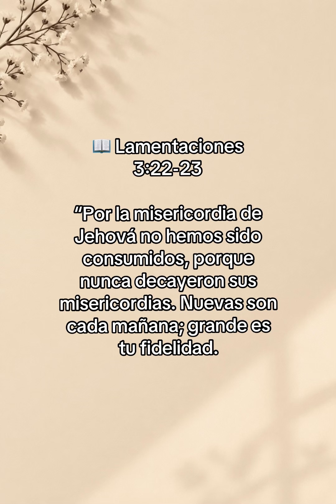 @Lau✨