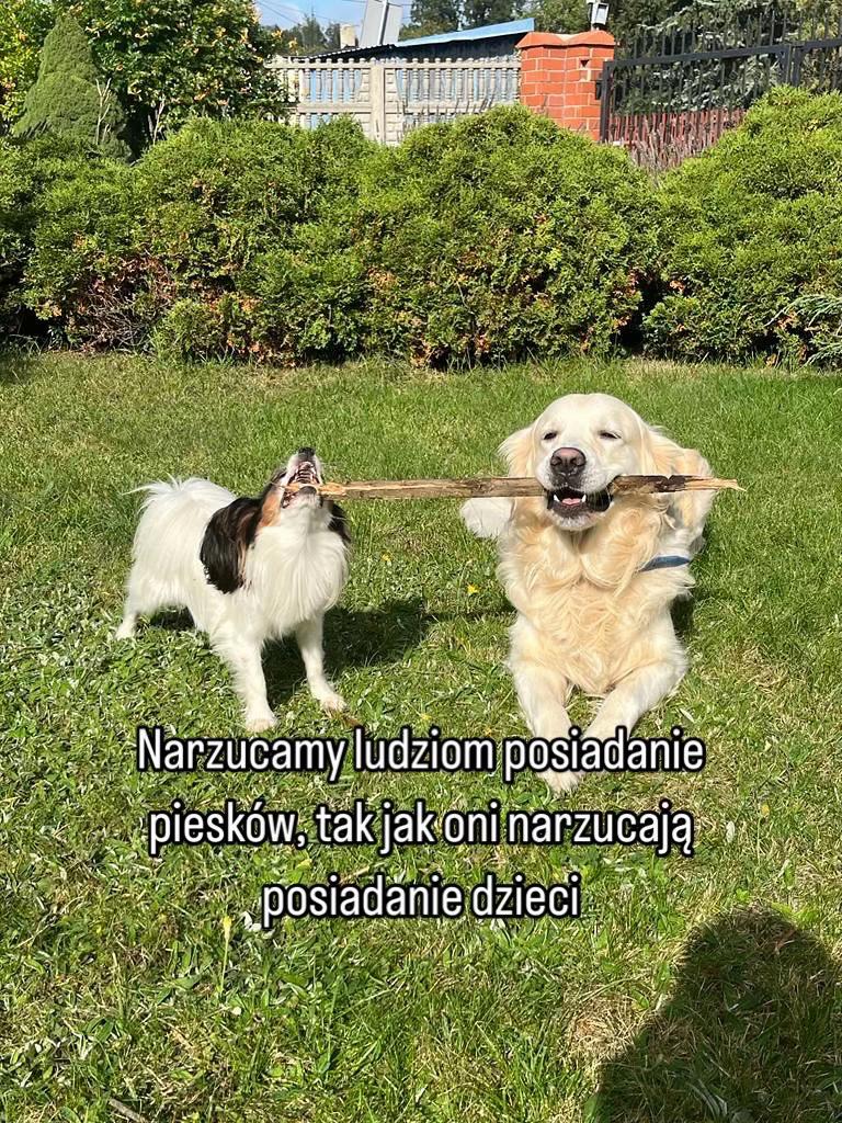 @Martyś 🥳