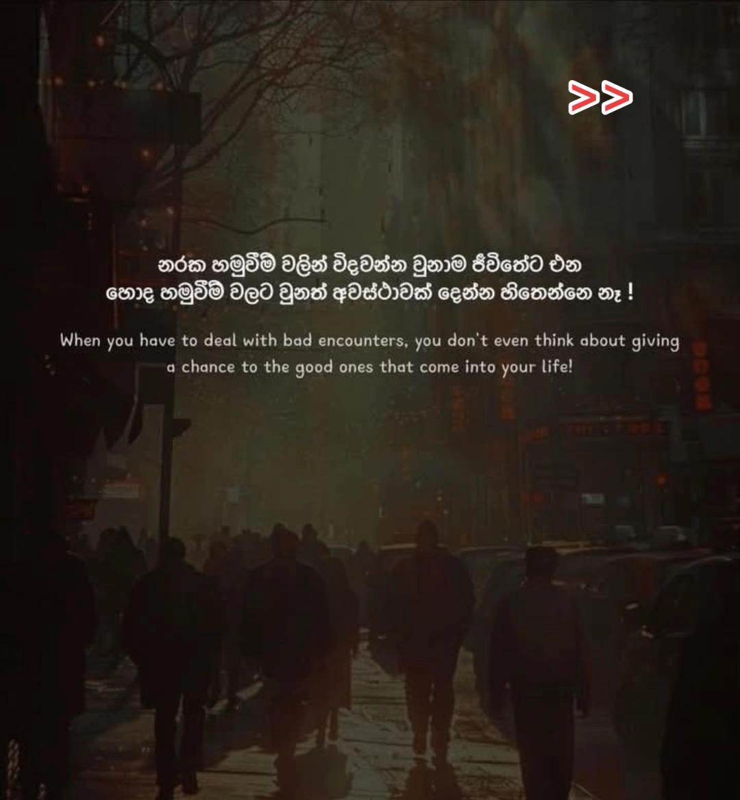 @🕊️❤️ කවිකාර ශලා ❤️🕊️