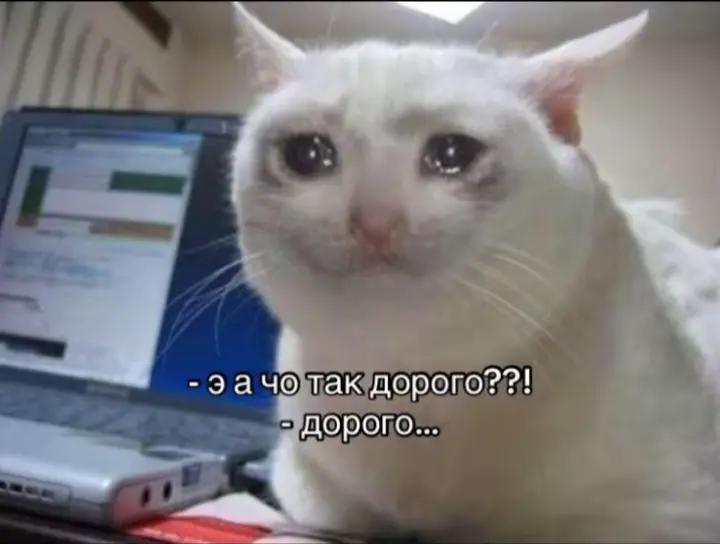 @тг: Чудесности свити ✨
