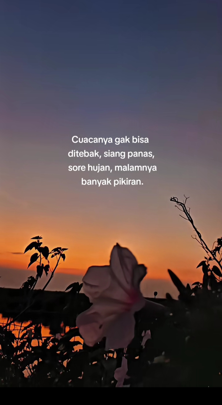 @SENJA Bubu💞🌅