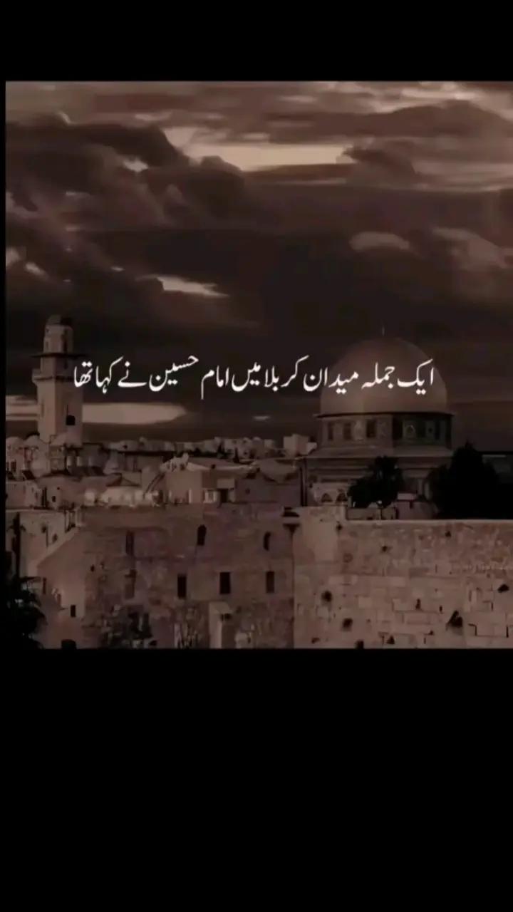 @muntazir.vafadar♥️👑🇬🇧