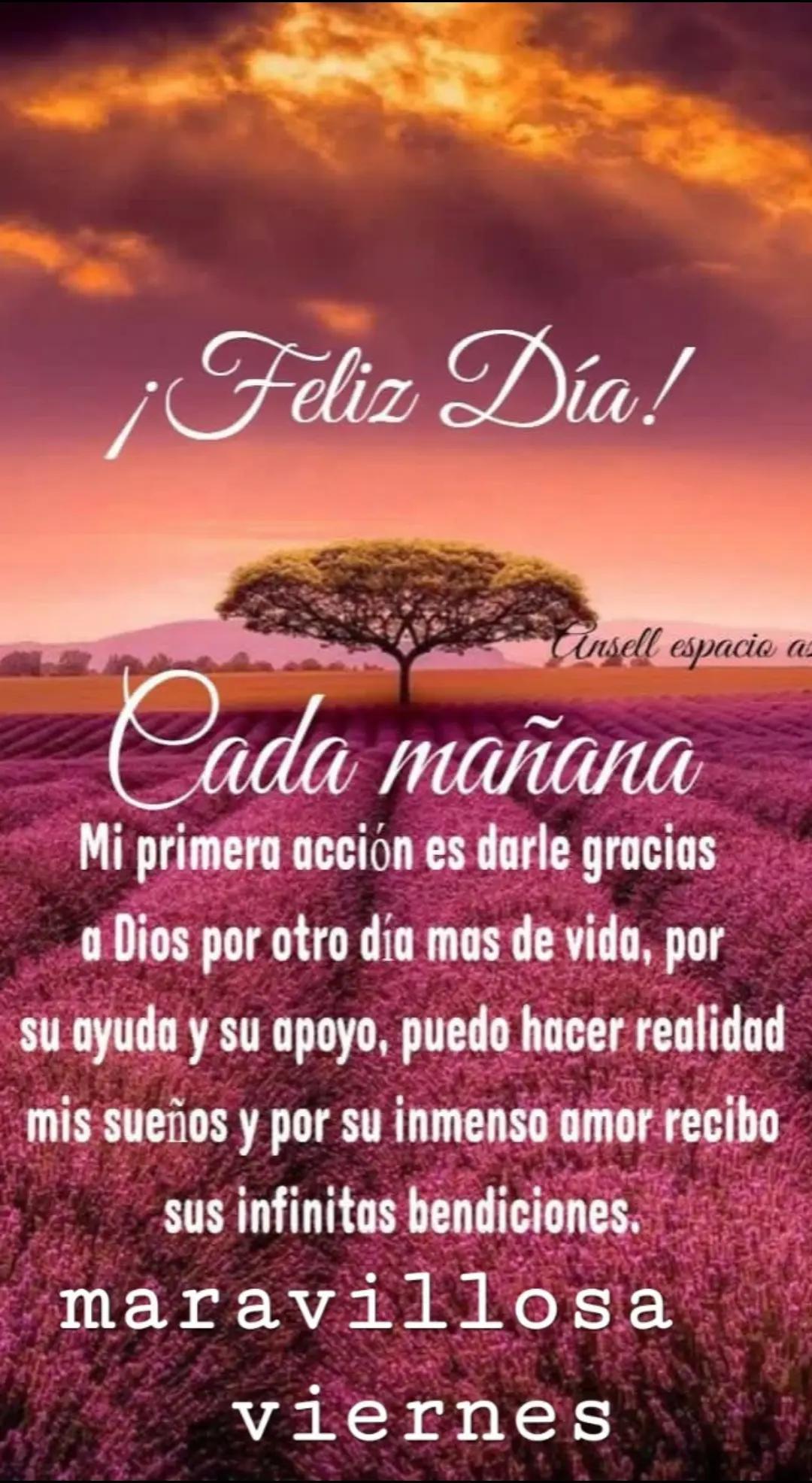 @mia jazz 👑💓🦋🧉🇦🇷