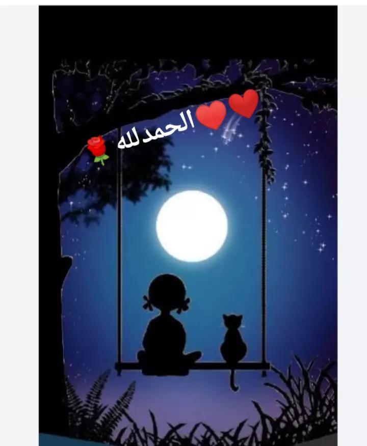@Manona Zidan