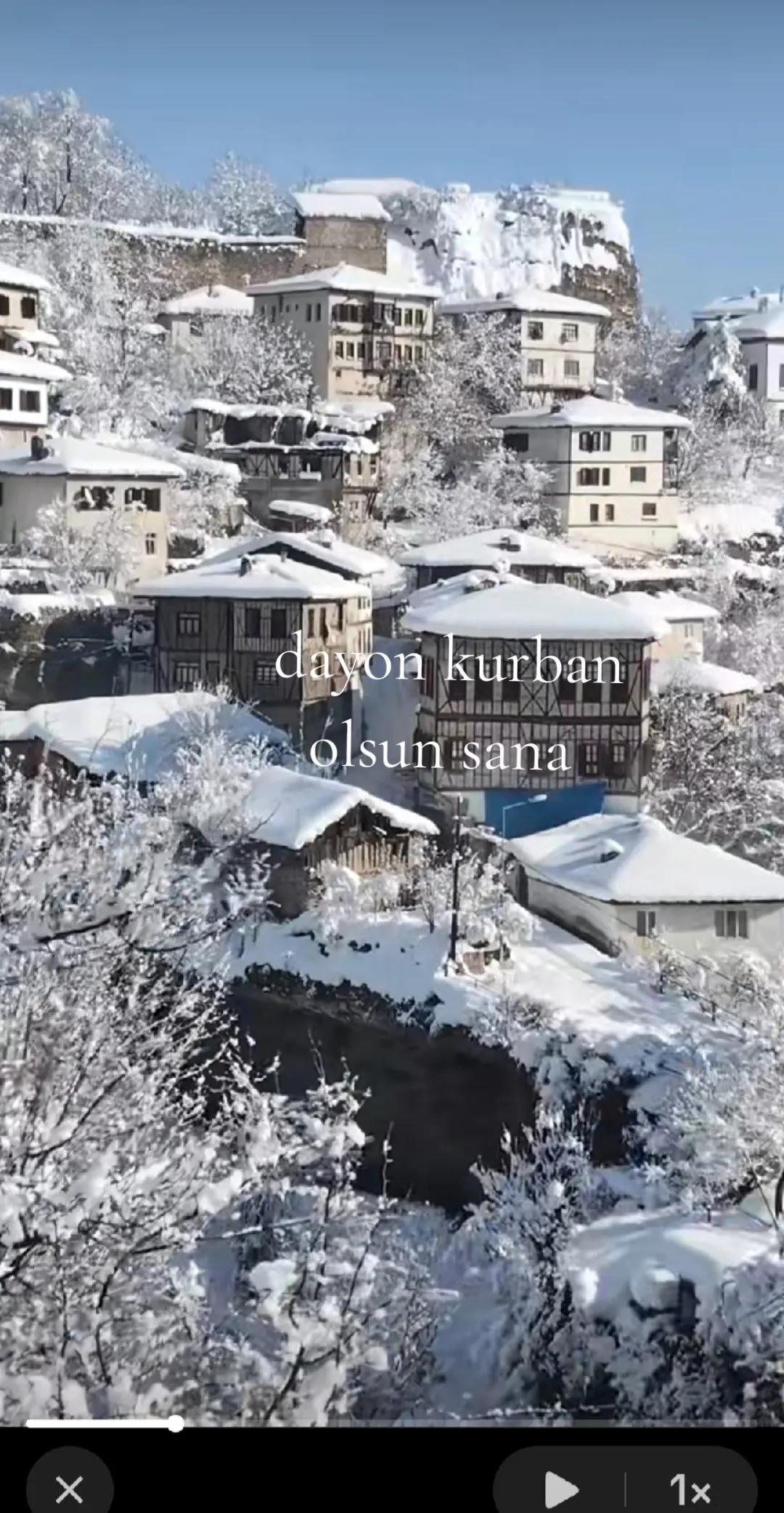 @dilek