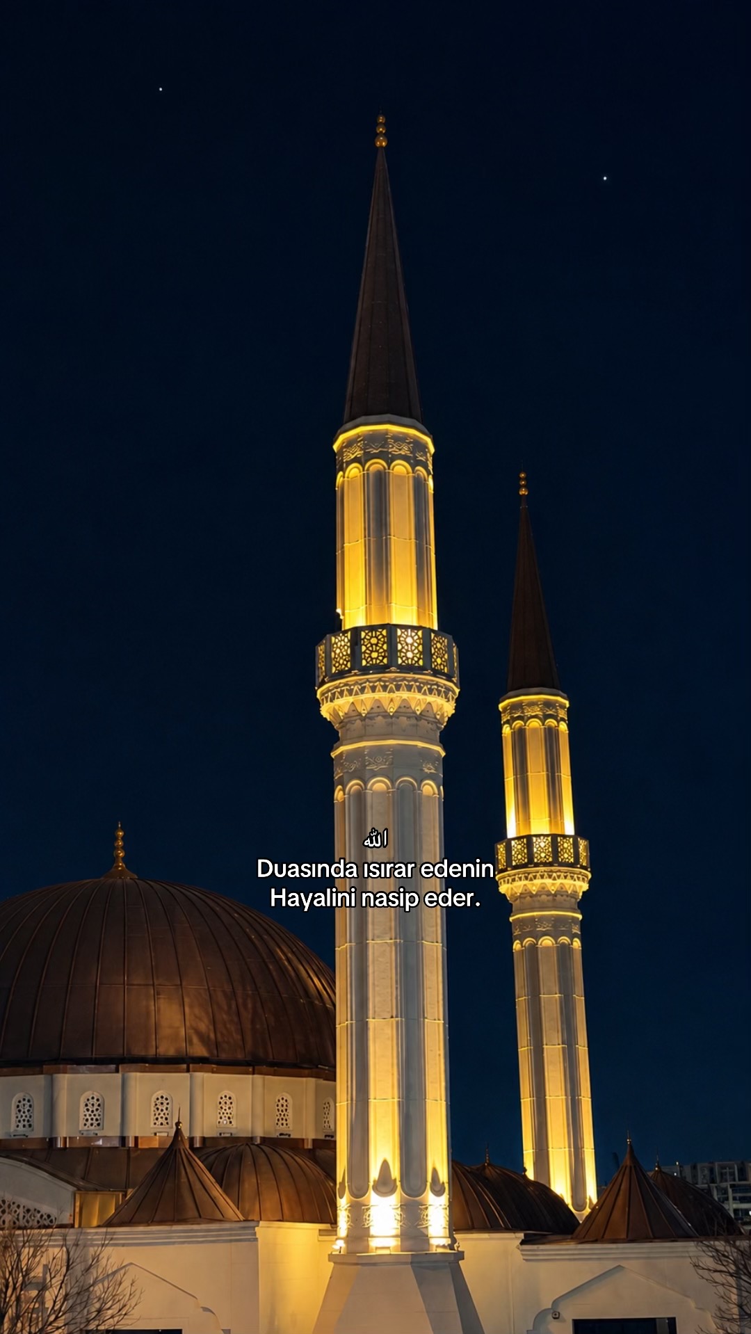 @𝓜