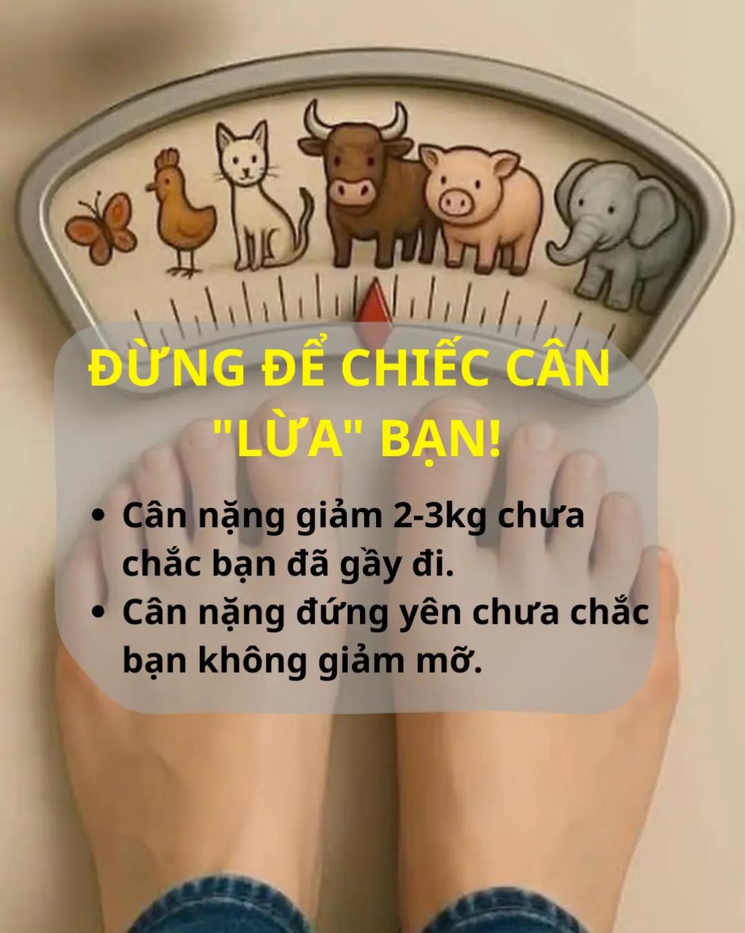 @D&Đ Fitness Cần Thơ