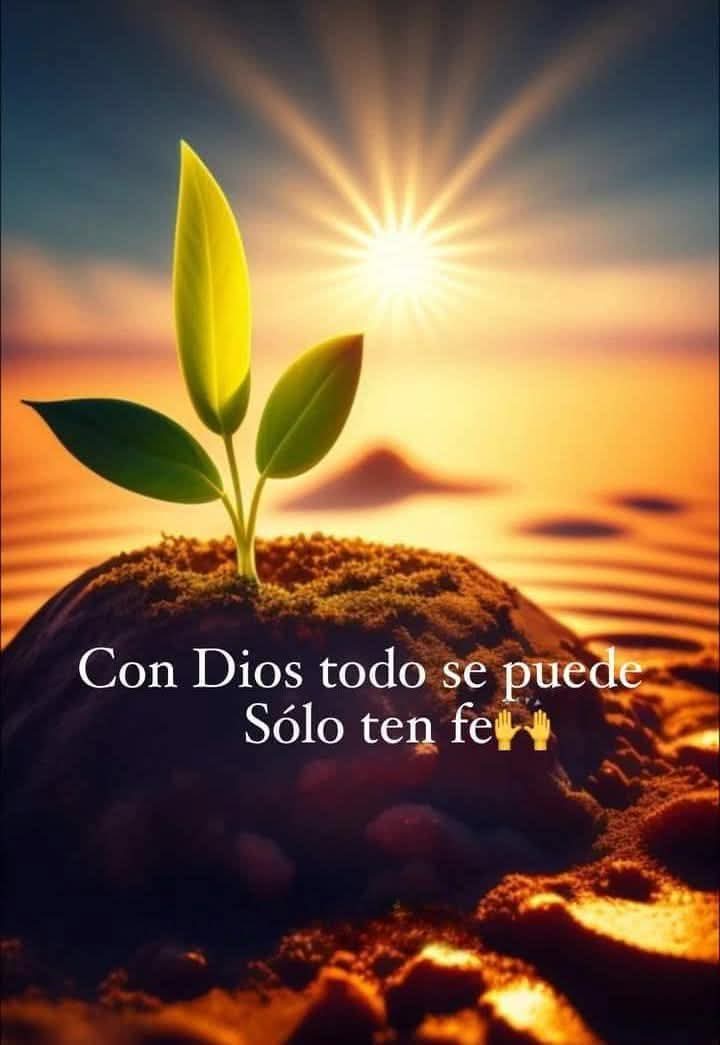 @🥳 Daguamia🥳