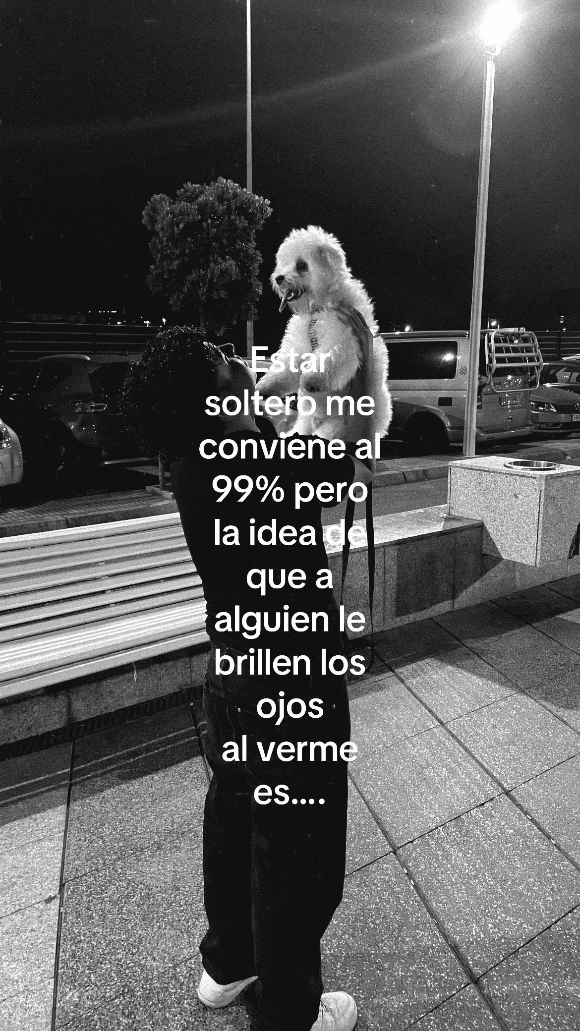 @Crismeisonvc