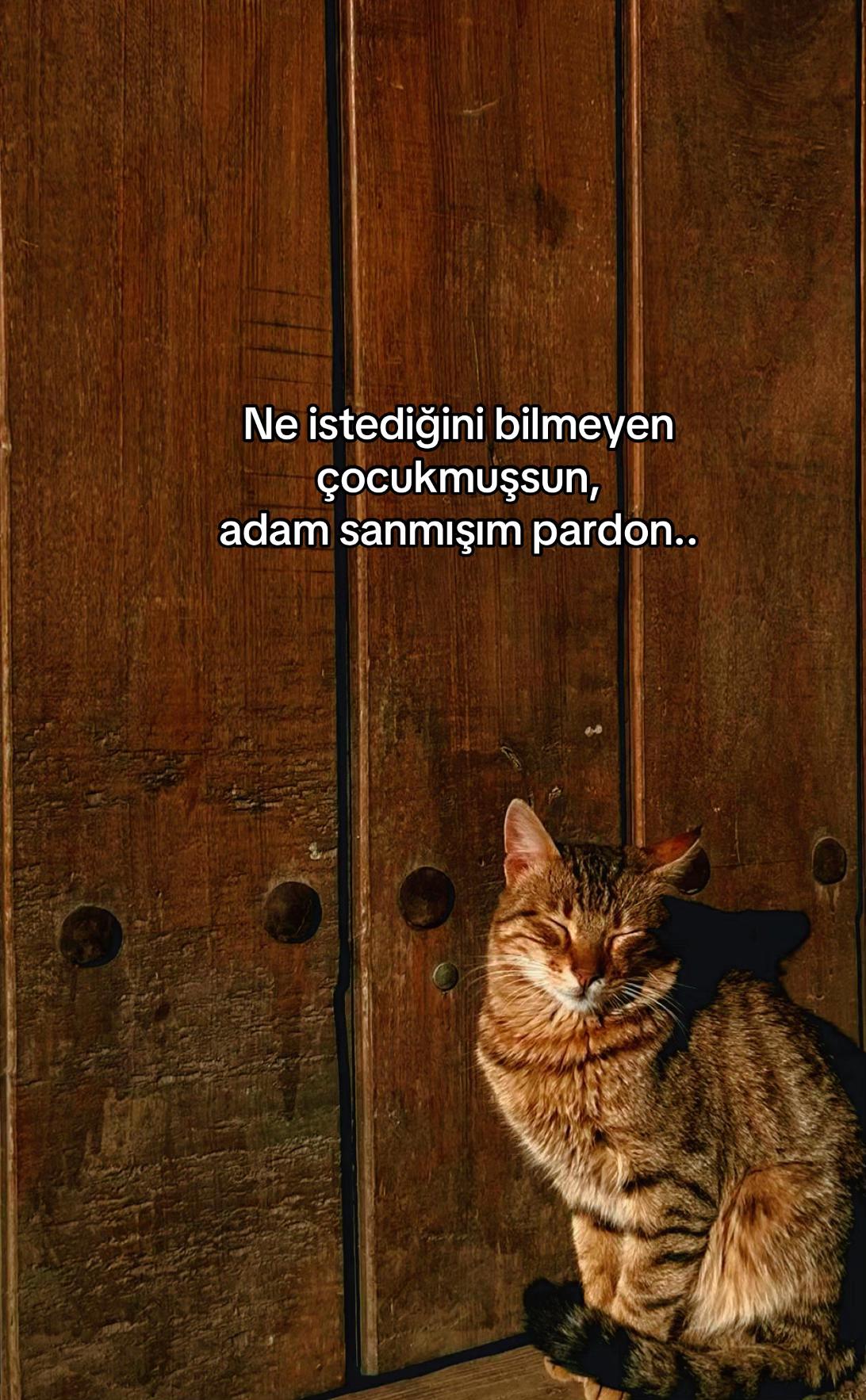 @seviyorgibiydin24