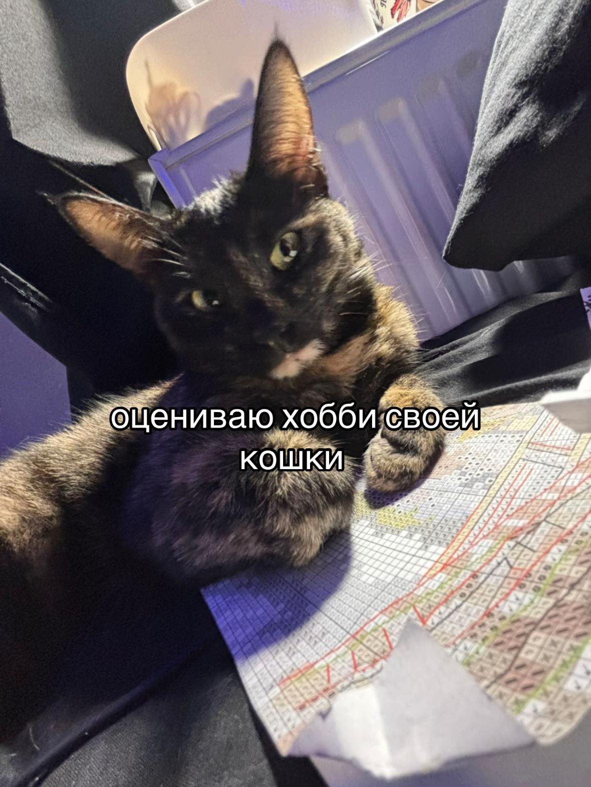 @лионельо месе