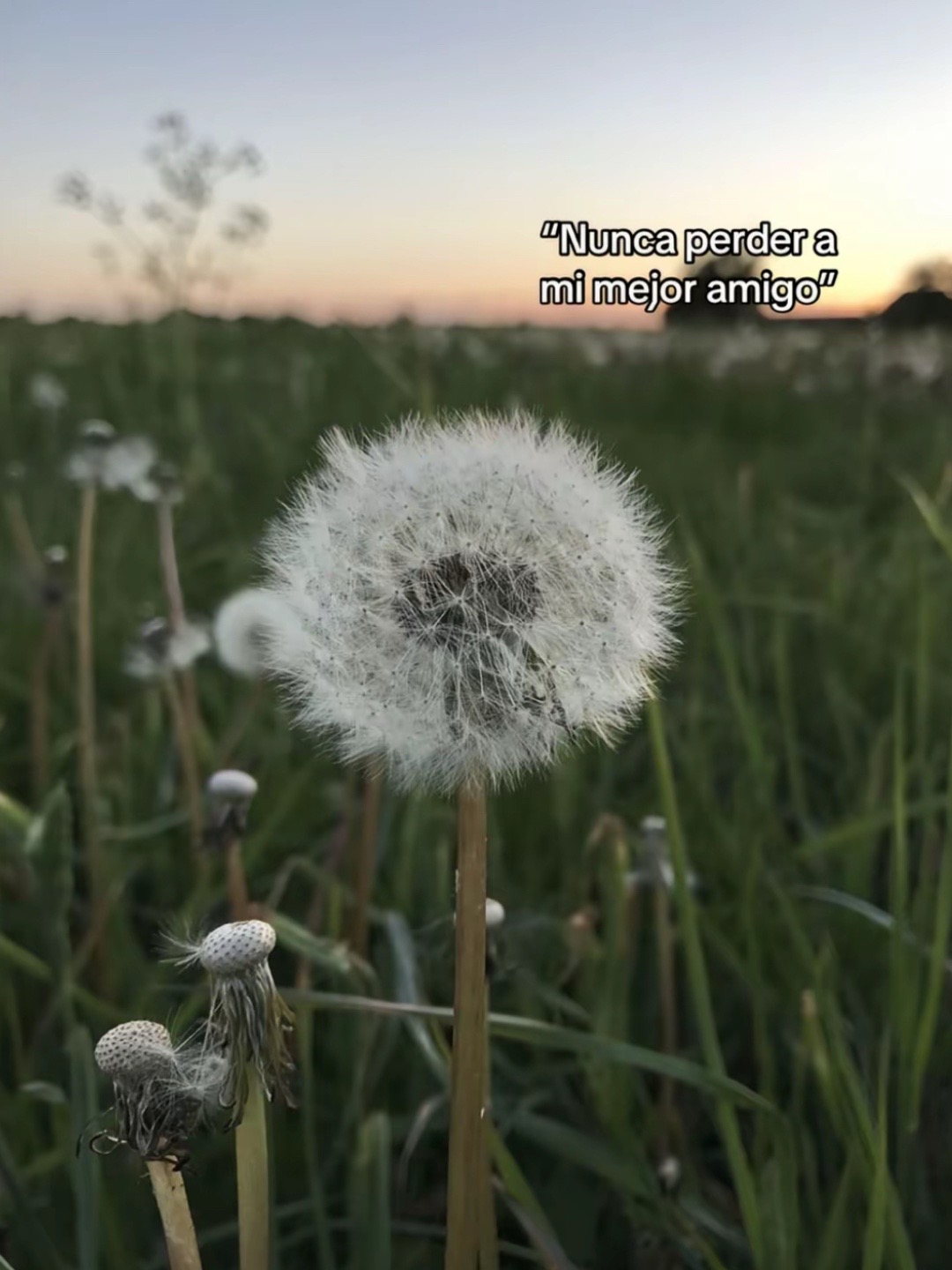 @𝓜aria🍁