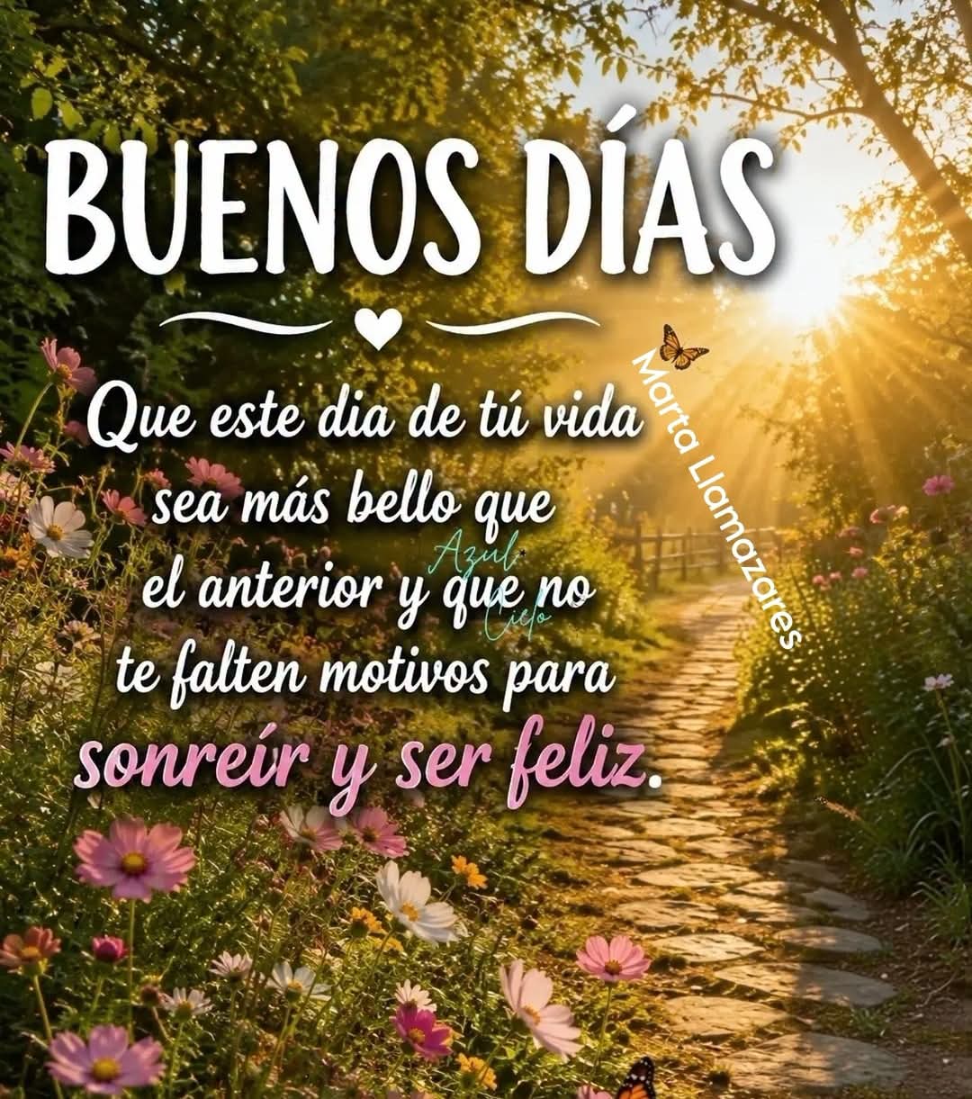 @🥳 Daguamia🥳