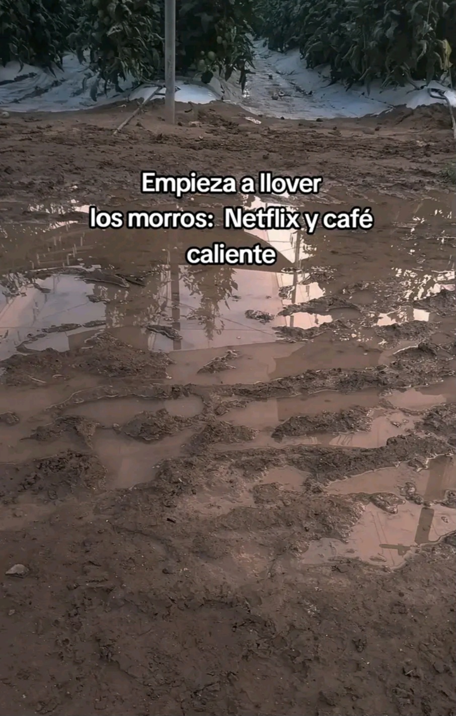 @Jr el menor :(