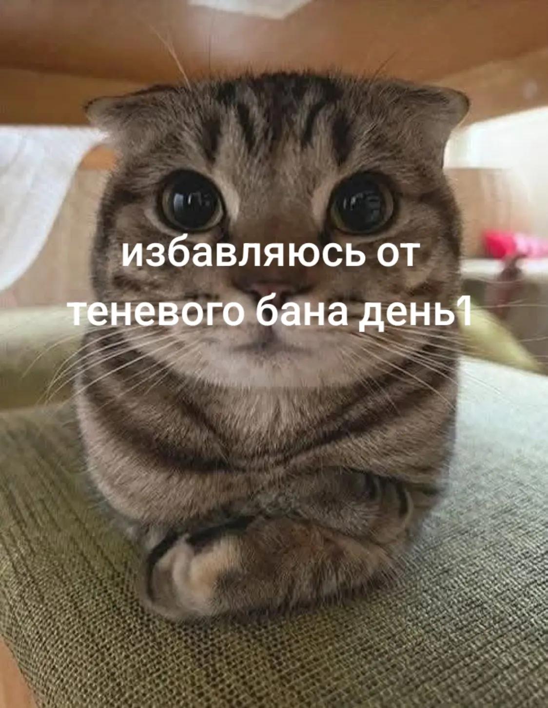 @просто гугл