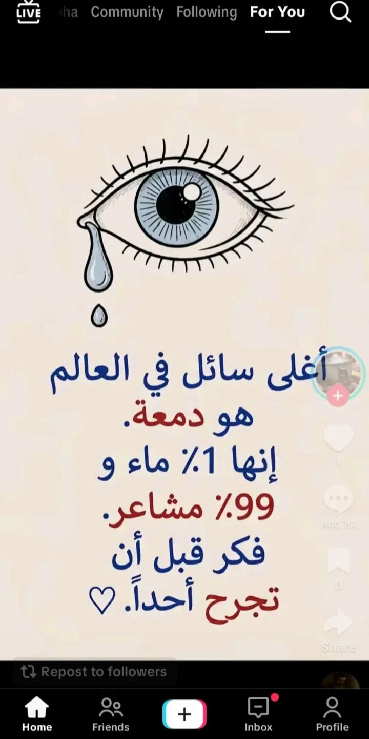 @Mahboul