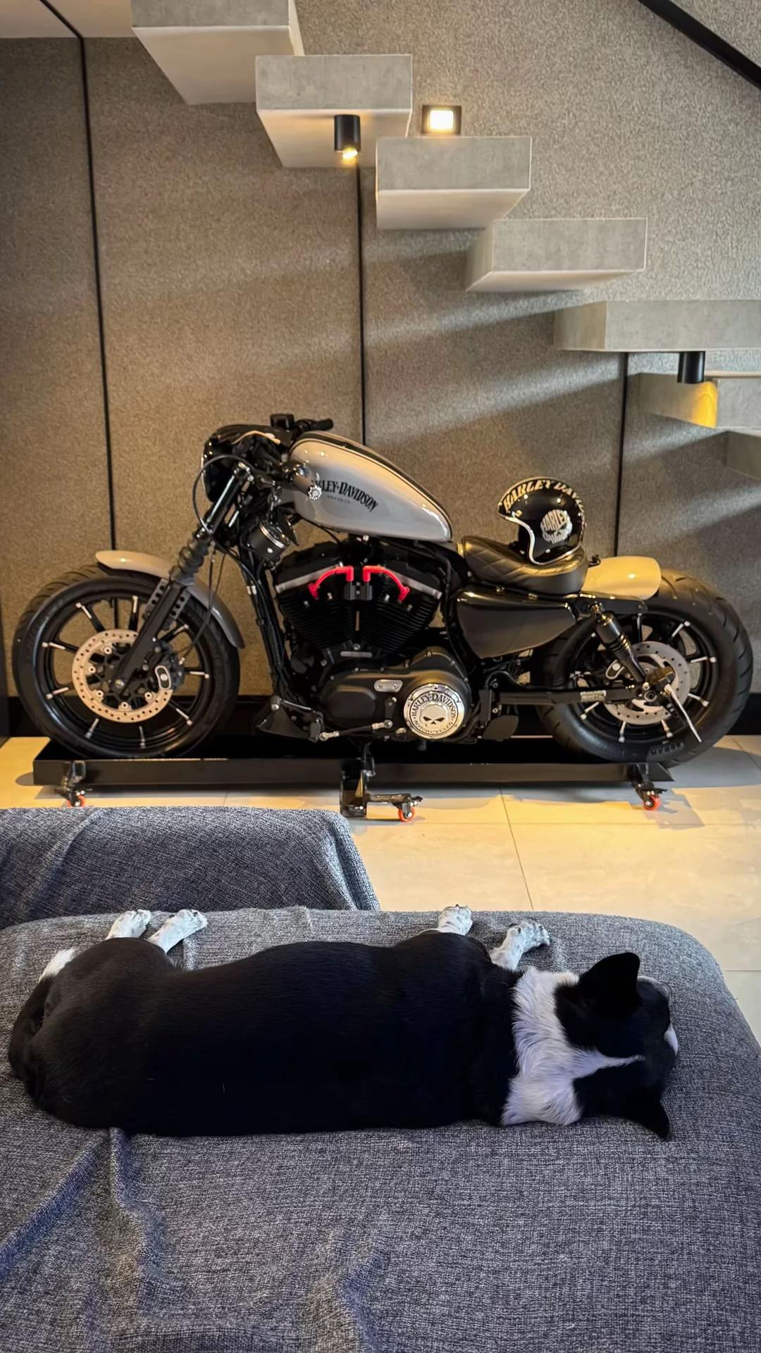 @Fabiano 883 bobber 🇧🇷