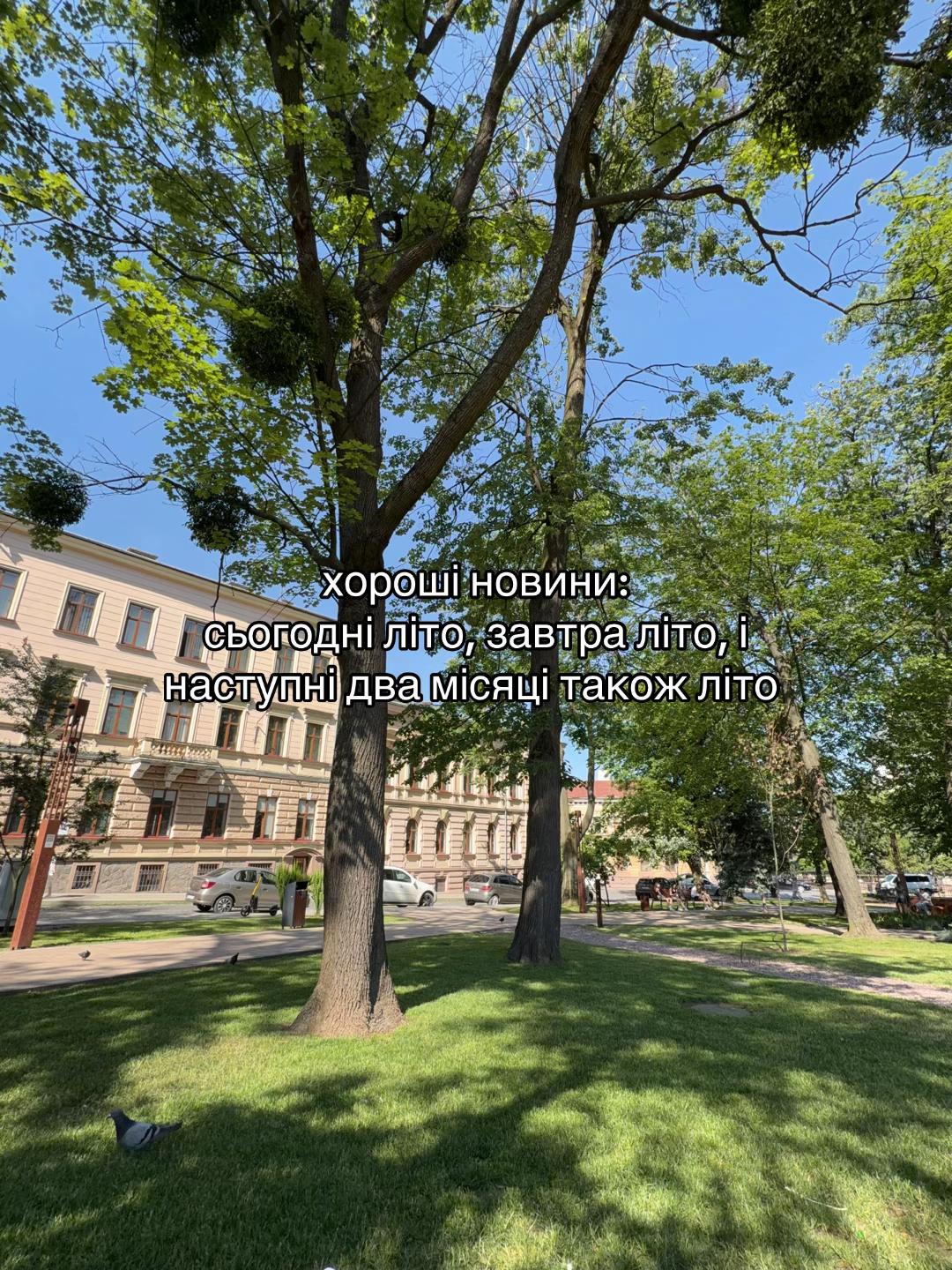 @СПЕФ🧡