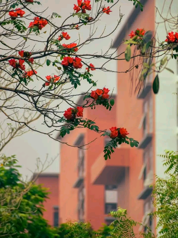 @অপূর্ণতা..💔😅