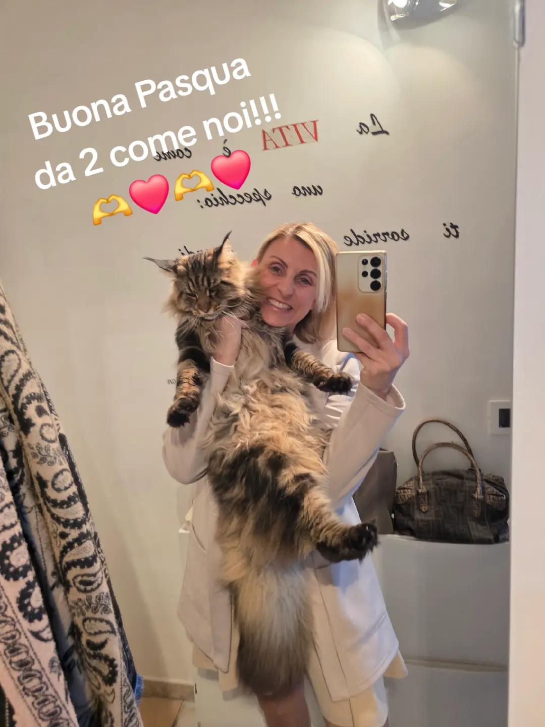 @🐾Aspen🐾