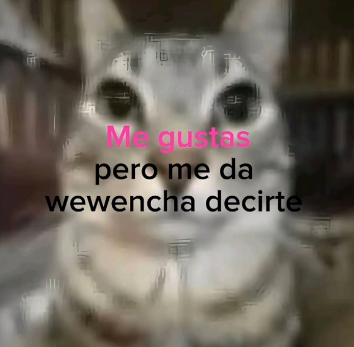 @Anthony [GD]