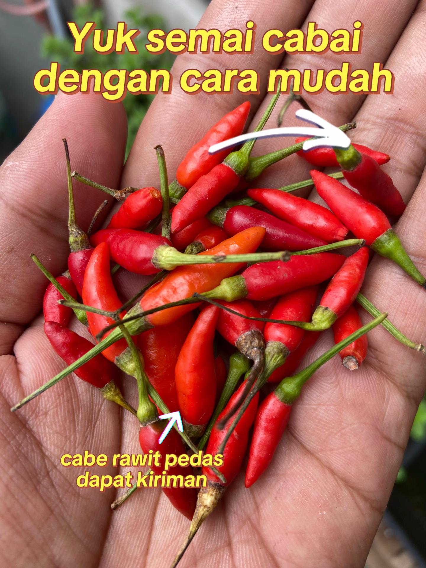 @Rumah Bertiga