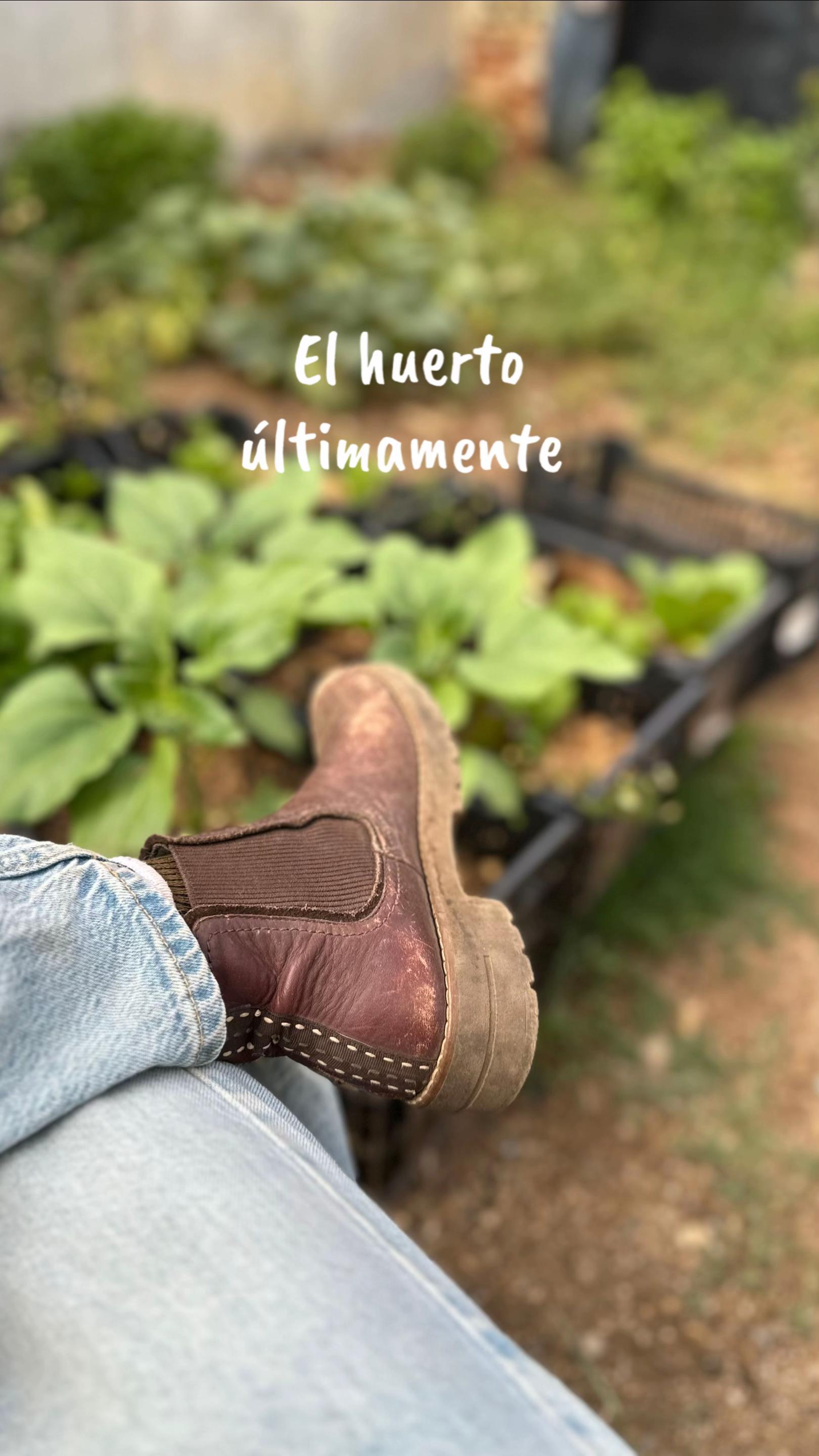 @cultivaconkarla