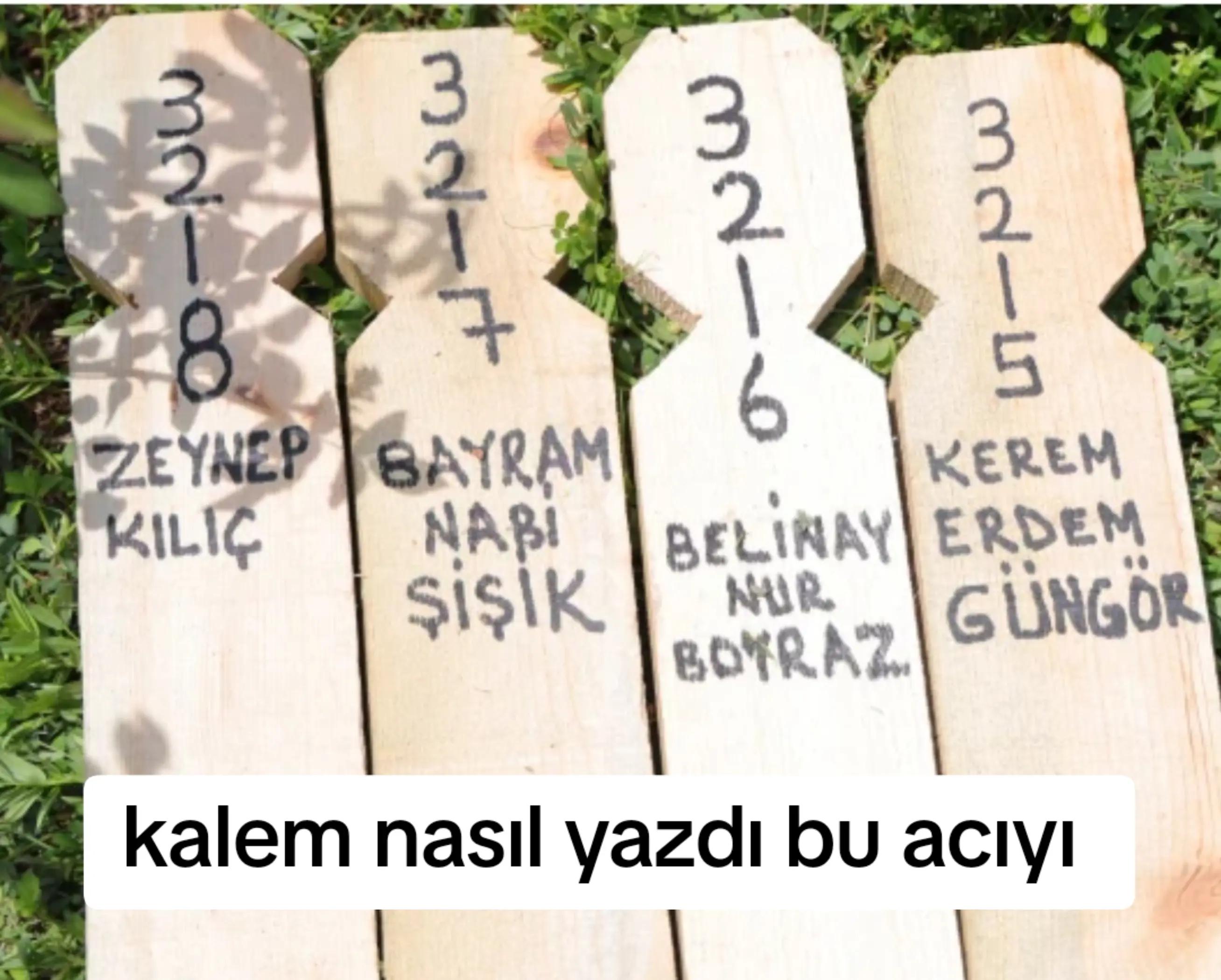 @🎲zaryld0🎲