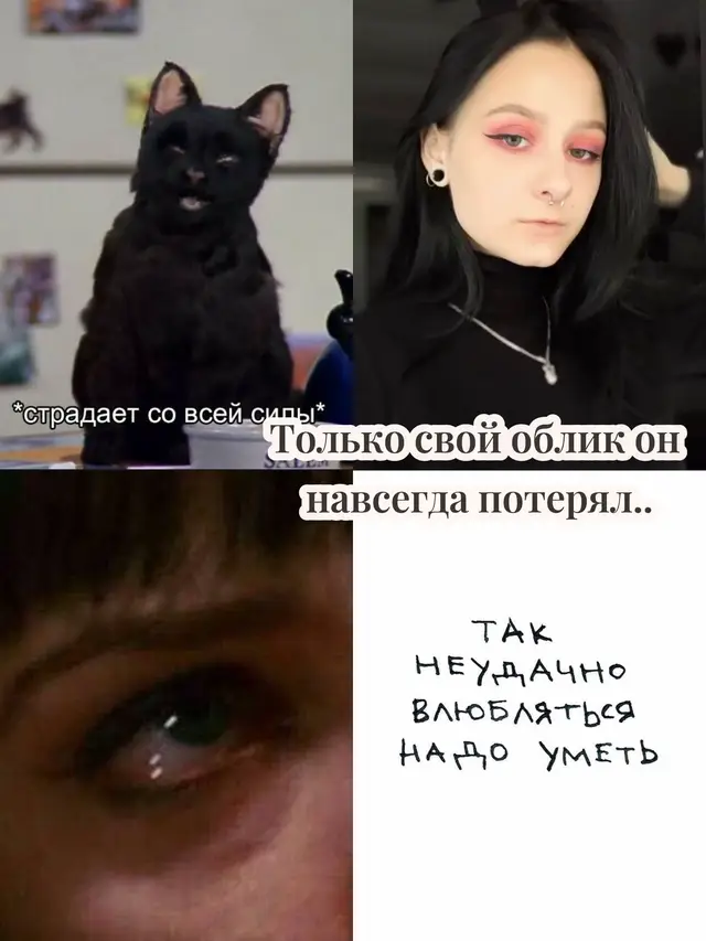 @Shermi