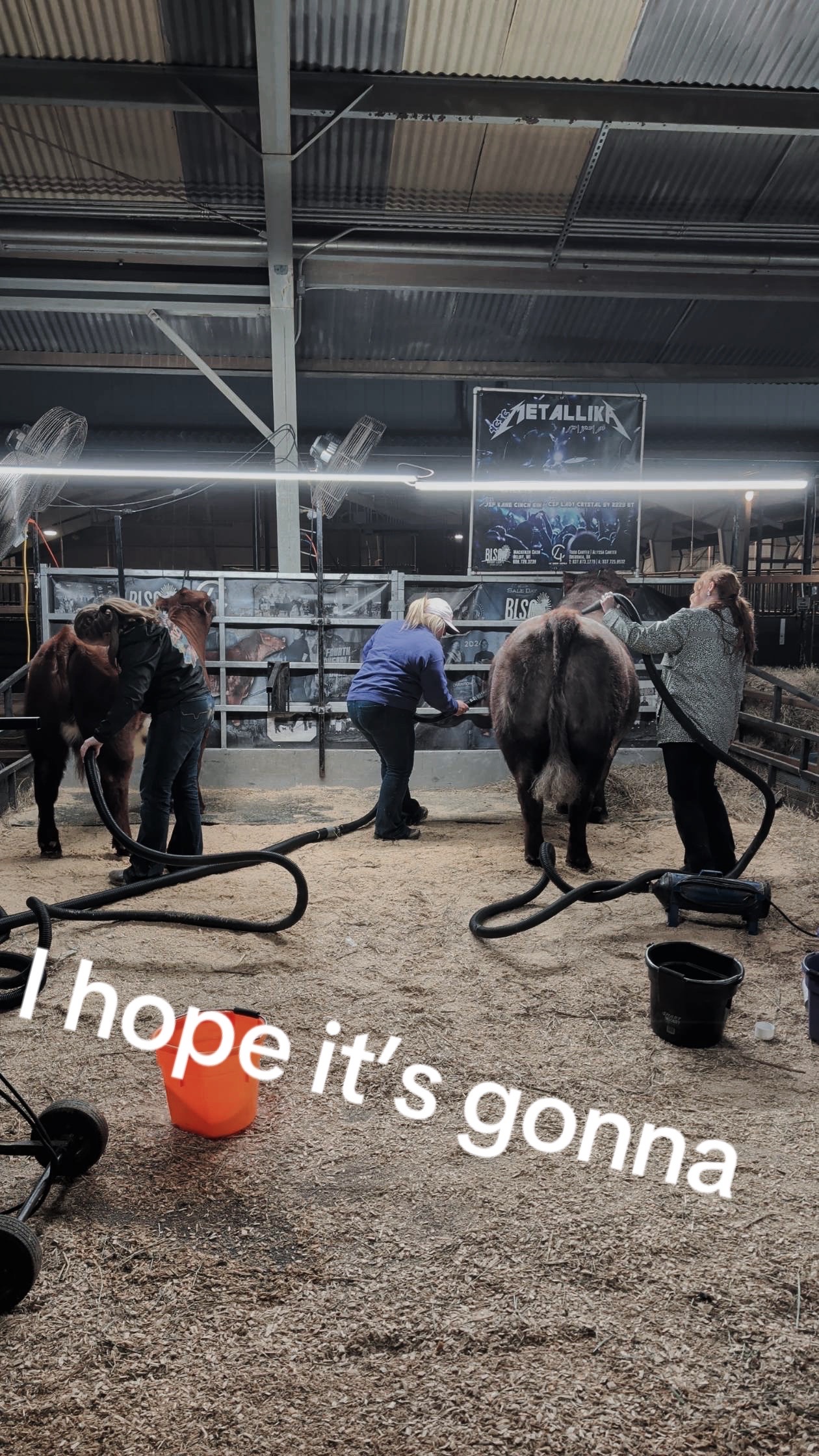 @Jmertinsfarm