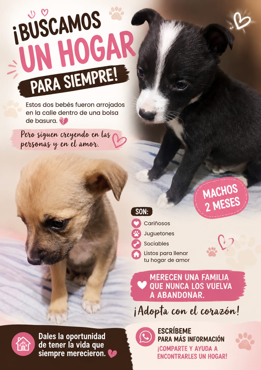 @Perritos Voladores