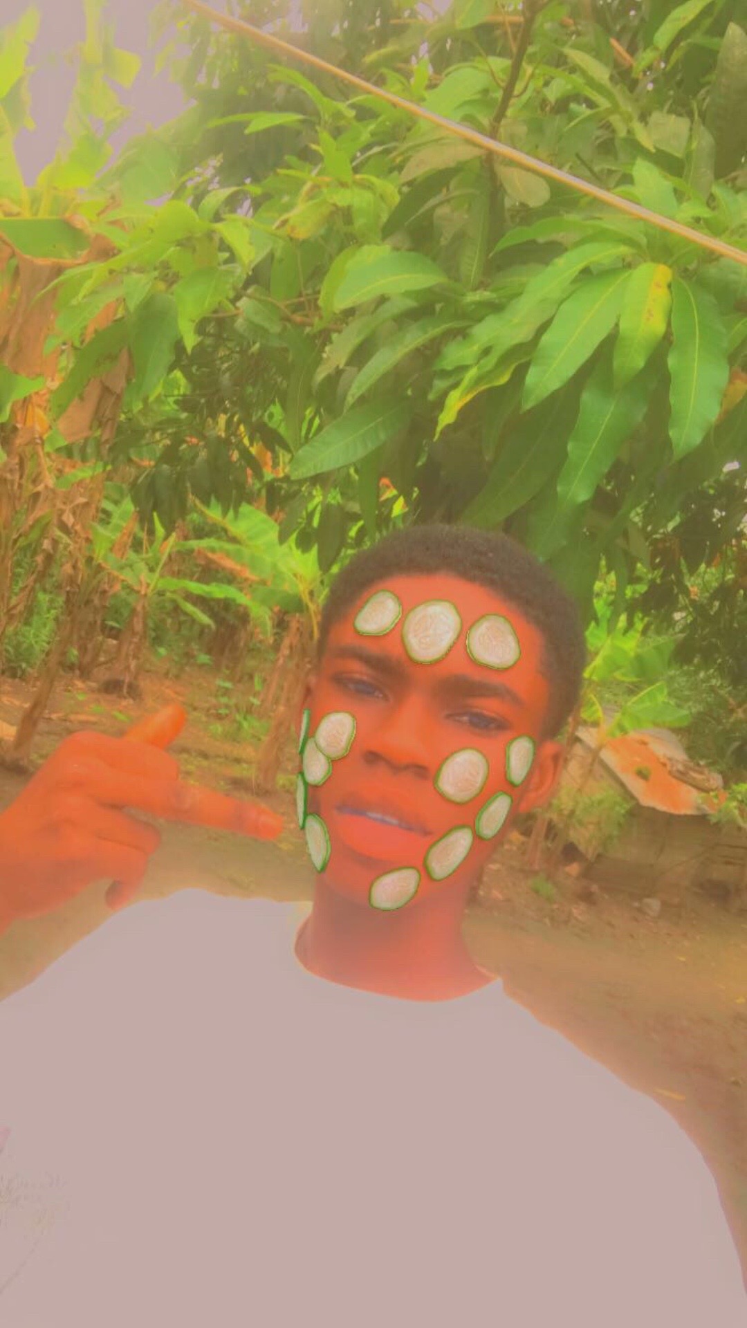 @fyngalbiboi8