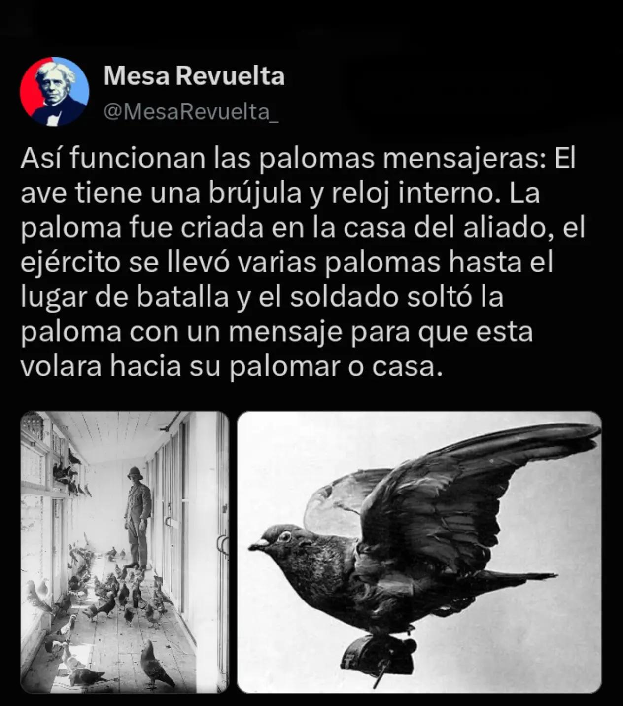 @Mesa Revuelta