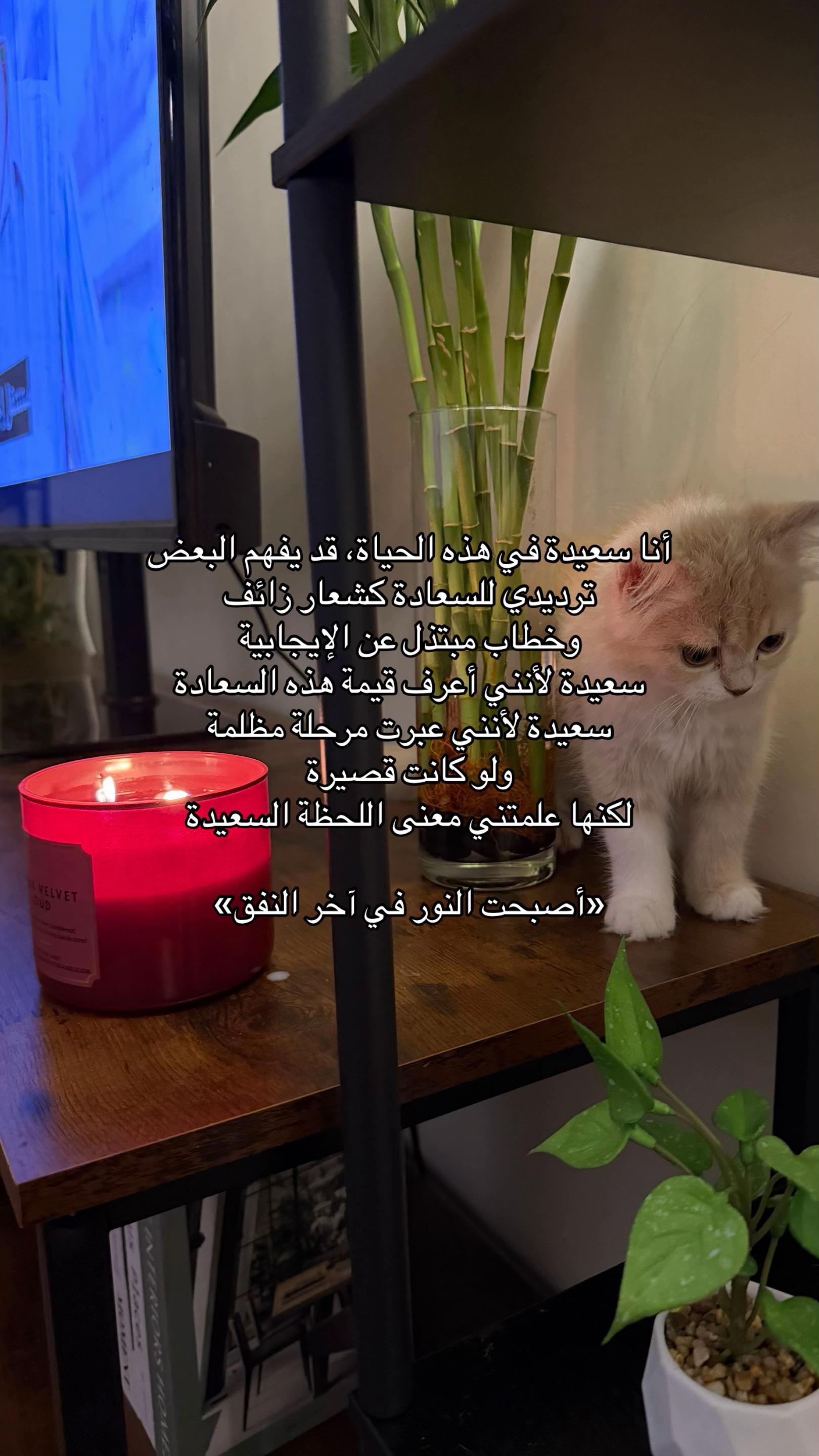 @Lolah