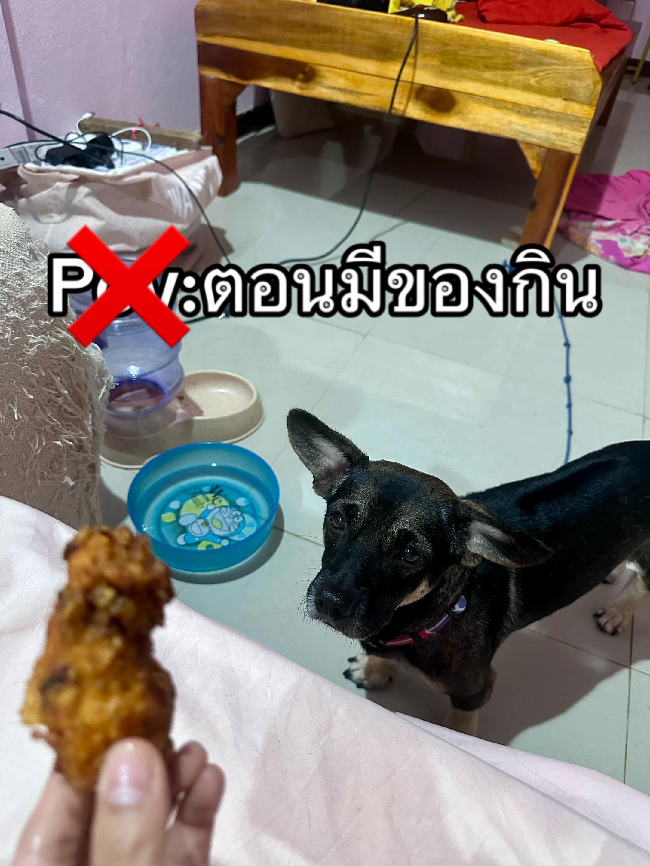 @ออม ชอบรีวิวผ้า🥨✨
