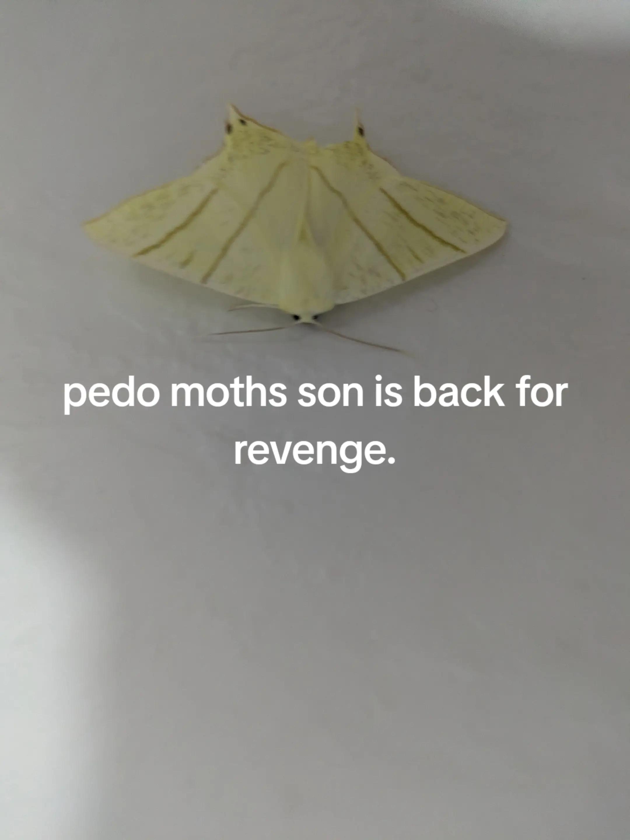 @S☠M