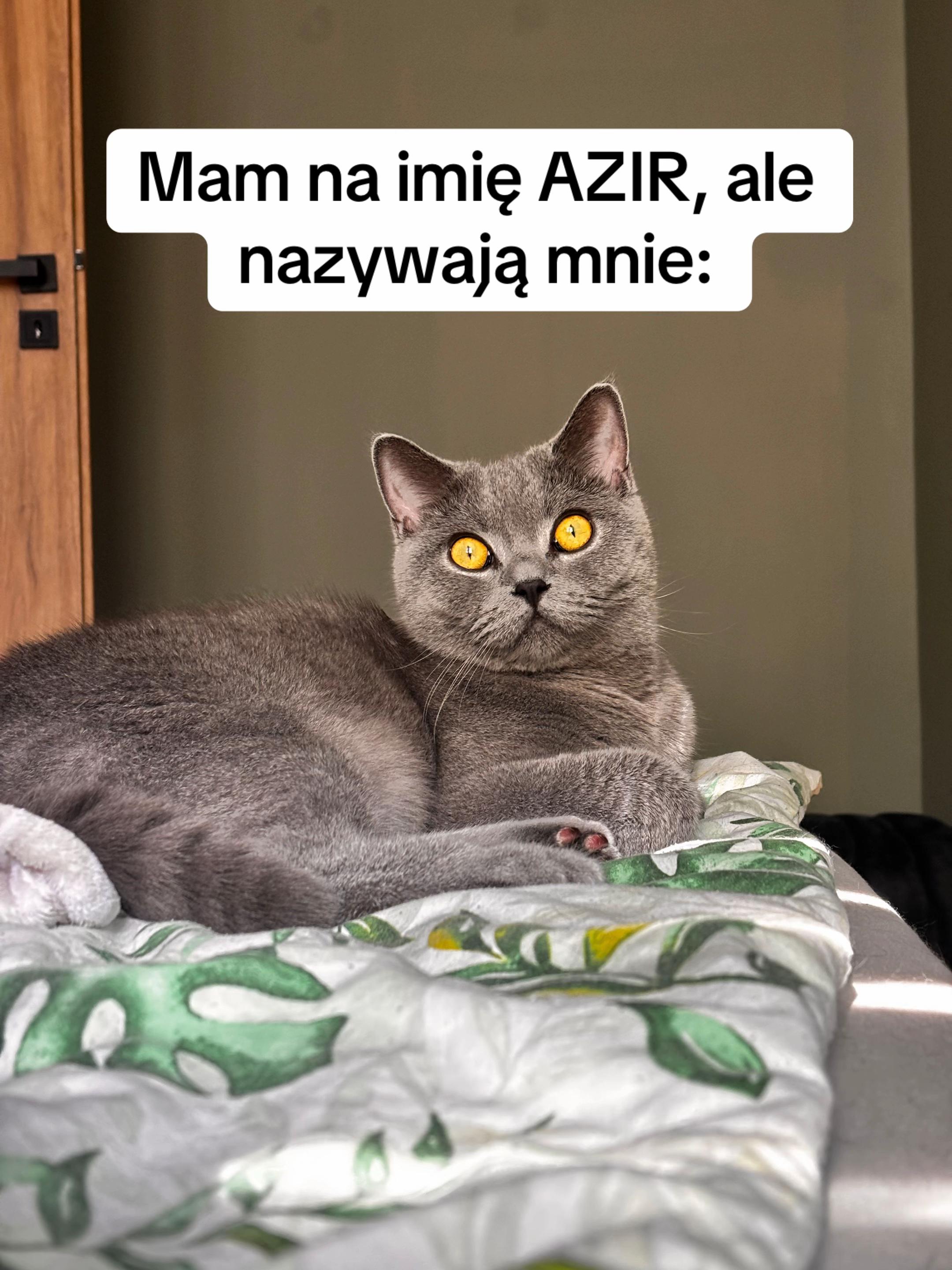 @𝓟𝓪𝓽𝓲